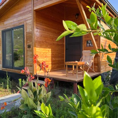Lemon Garden Lodge Çıralı Εξωτερικό φωτογραφία