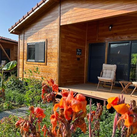 Lemon Garden Lodge Çıralı Εξωτερικό φωτογραφία