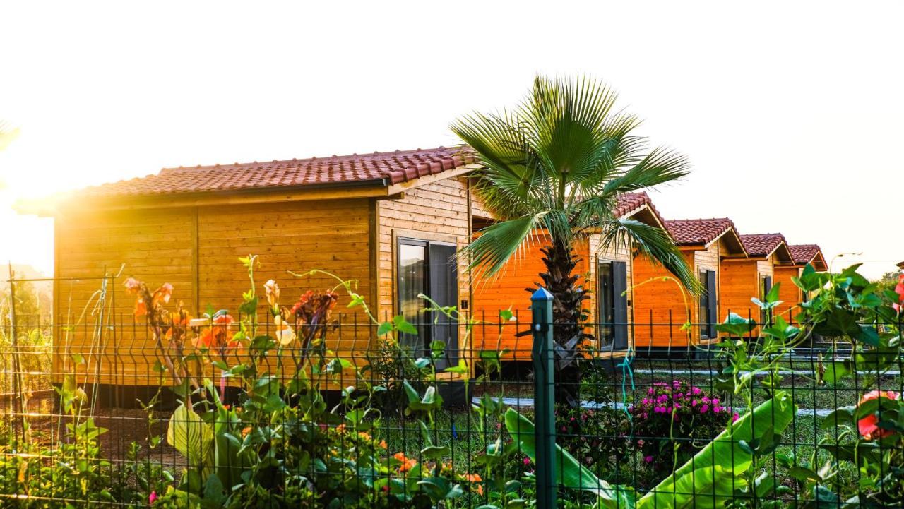 Lemon Garden Lodge Çıralı Εξωτερικό φωτογραφία