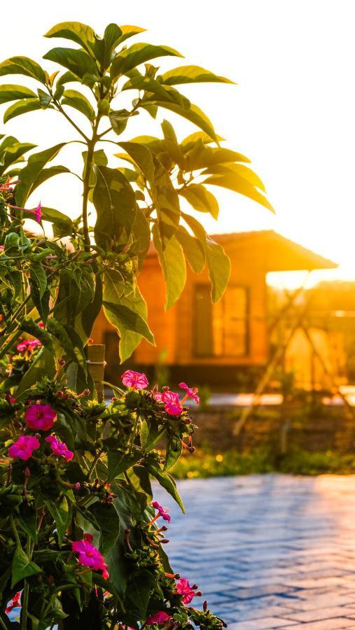 Lemon Garden Lodge Çıralı Εξωτερικό φωτογραφία