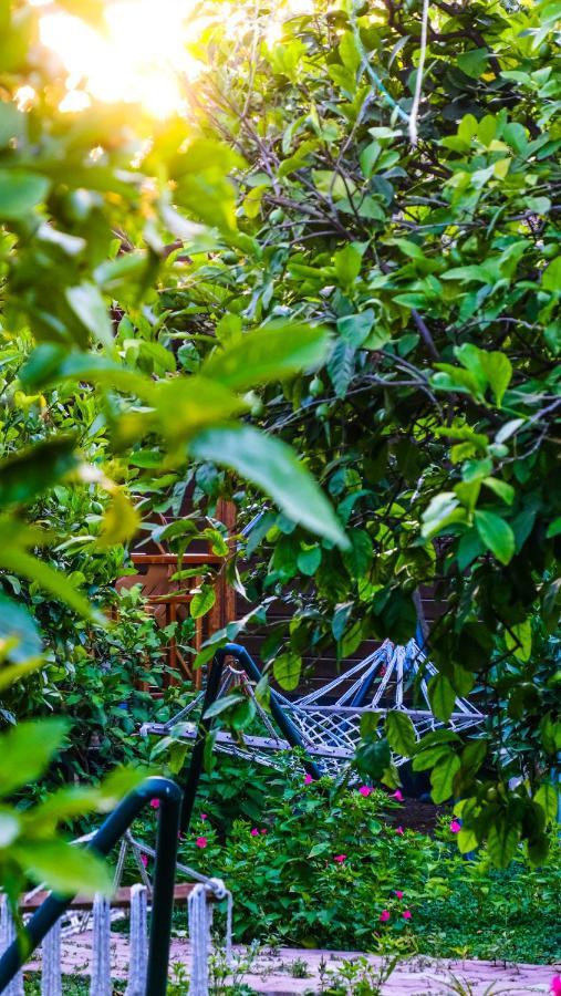 Lemon Garden Lodge Çıralı Εξωτερικό φωτογραφία