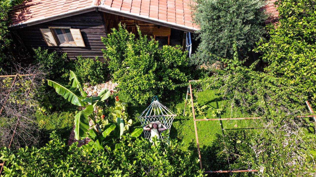 Lemon Garden Lodge Çıralı Εξωτερικό φωτογραφία