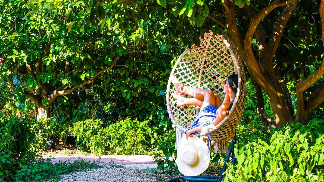 Lemon Garden Lodge Çıralı Εξωτερικό φωτογραφία