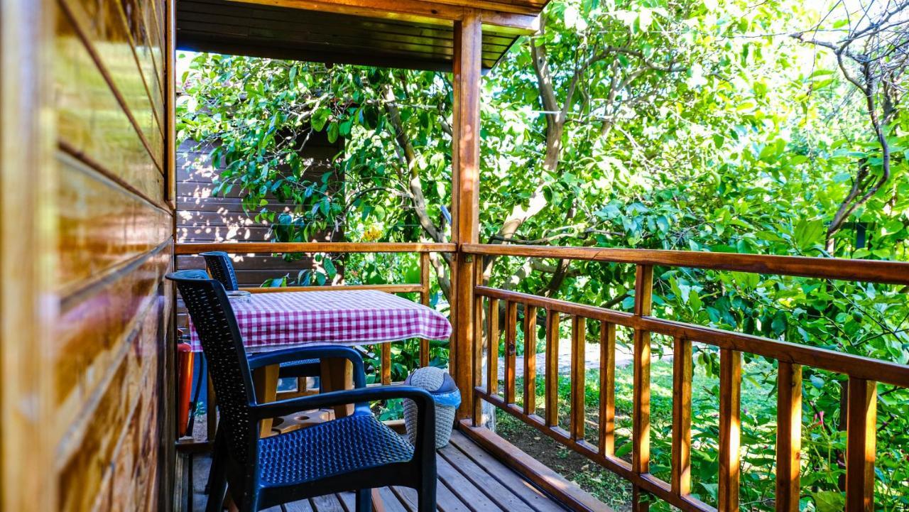 Lemon Garden Lodge Çıralı Εξωτερικό φωτογραφία