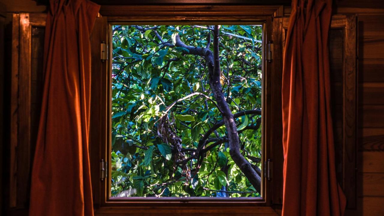 Lemon Garden Lodge Çıralı Εξωτερικό φωτογραφία