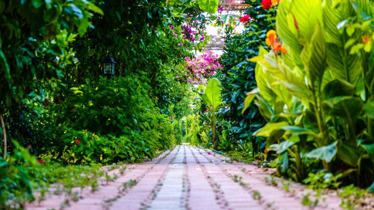 Lemon Garden Lodge Çıralı Εξωτερικό φωτογραφία