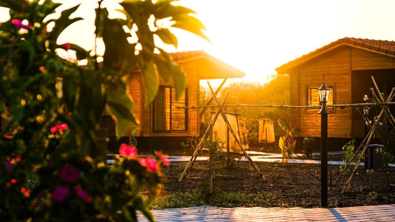 Lemon Garden Lodge Çıralı Εξωτερικό φωτογραφία