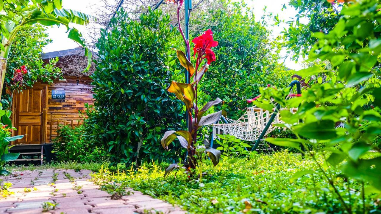 Lemon Garden Lodge Çıralı Εξωτερικό φωτογραφία