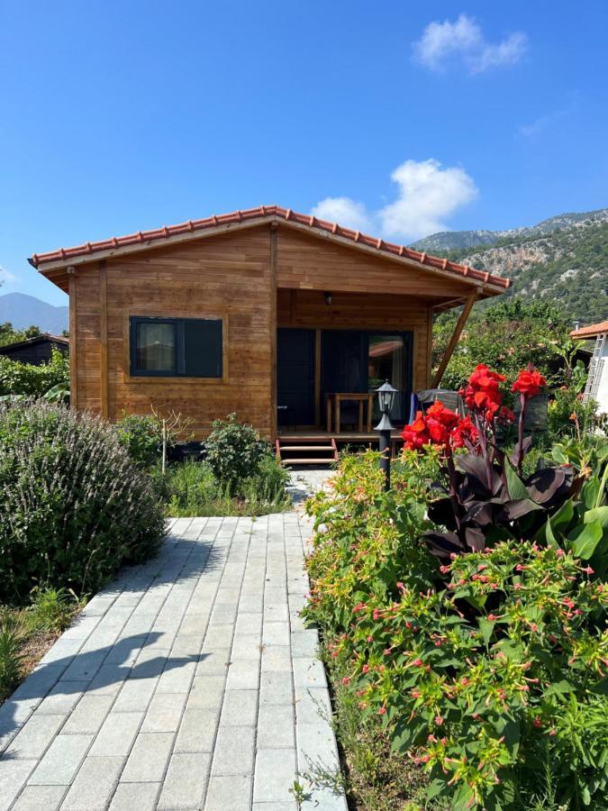 Lemon Garden Lodge Çıralı Εξωτερικό φωτογραφία