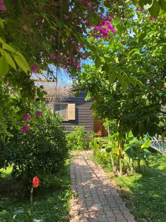Lemon Garden Lodge Çıralı Εξωτερικό φωτογραφία