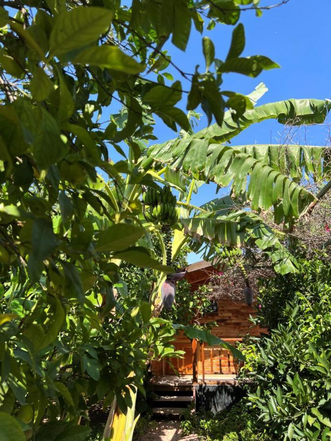 Lemon Garden Lodge Çıralı Εξωτερικό φωτογραφία