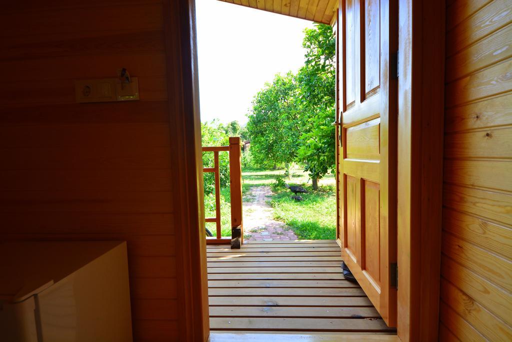 Lemon Garden Lodge Çıralı Εξωτερικό φωτογραφία