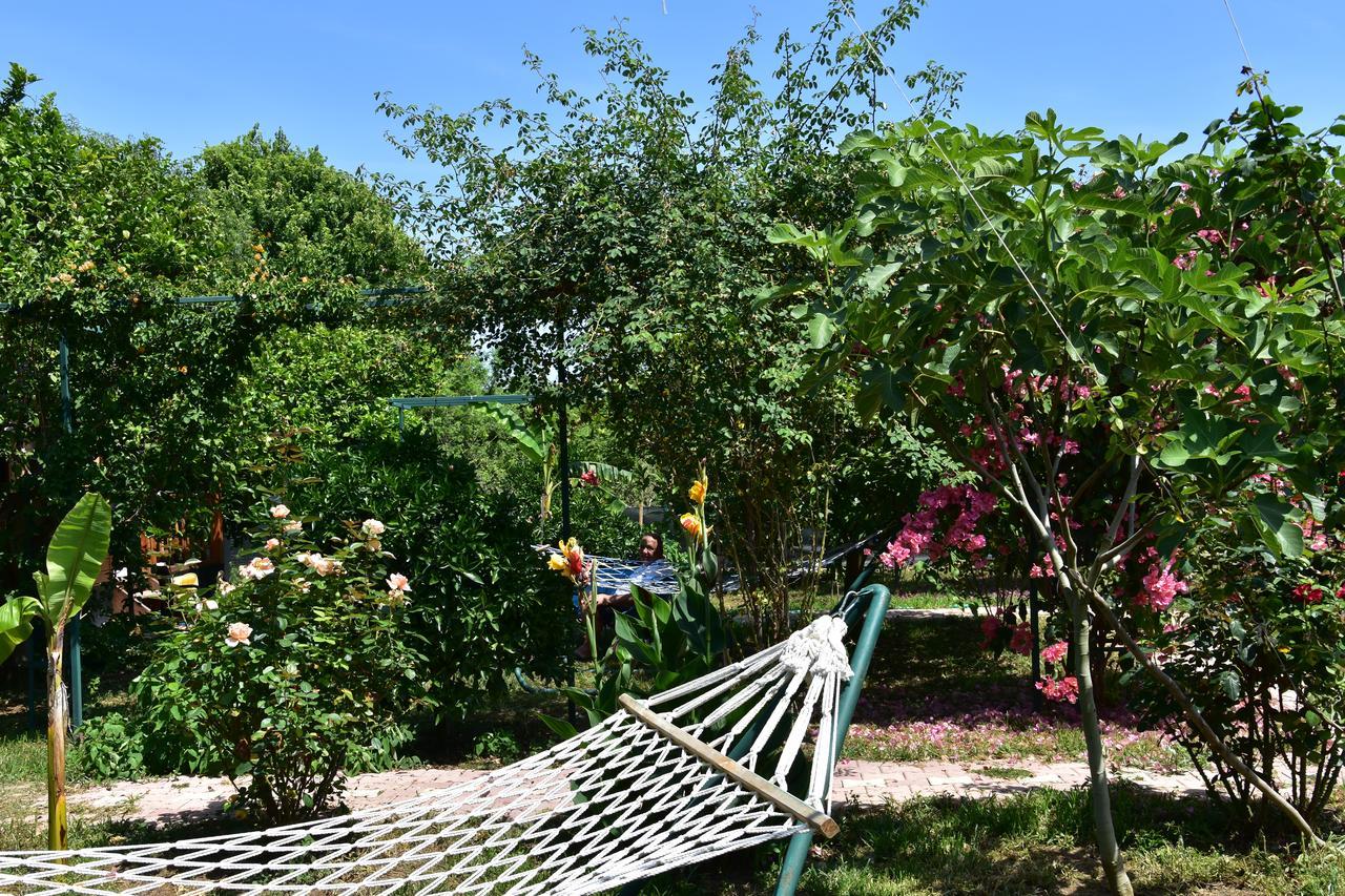 Lemon Garden Lodge Çıralı Εξωτερικό φωτογραφία